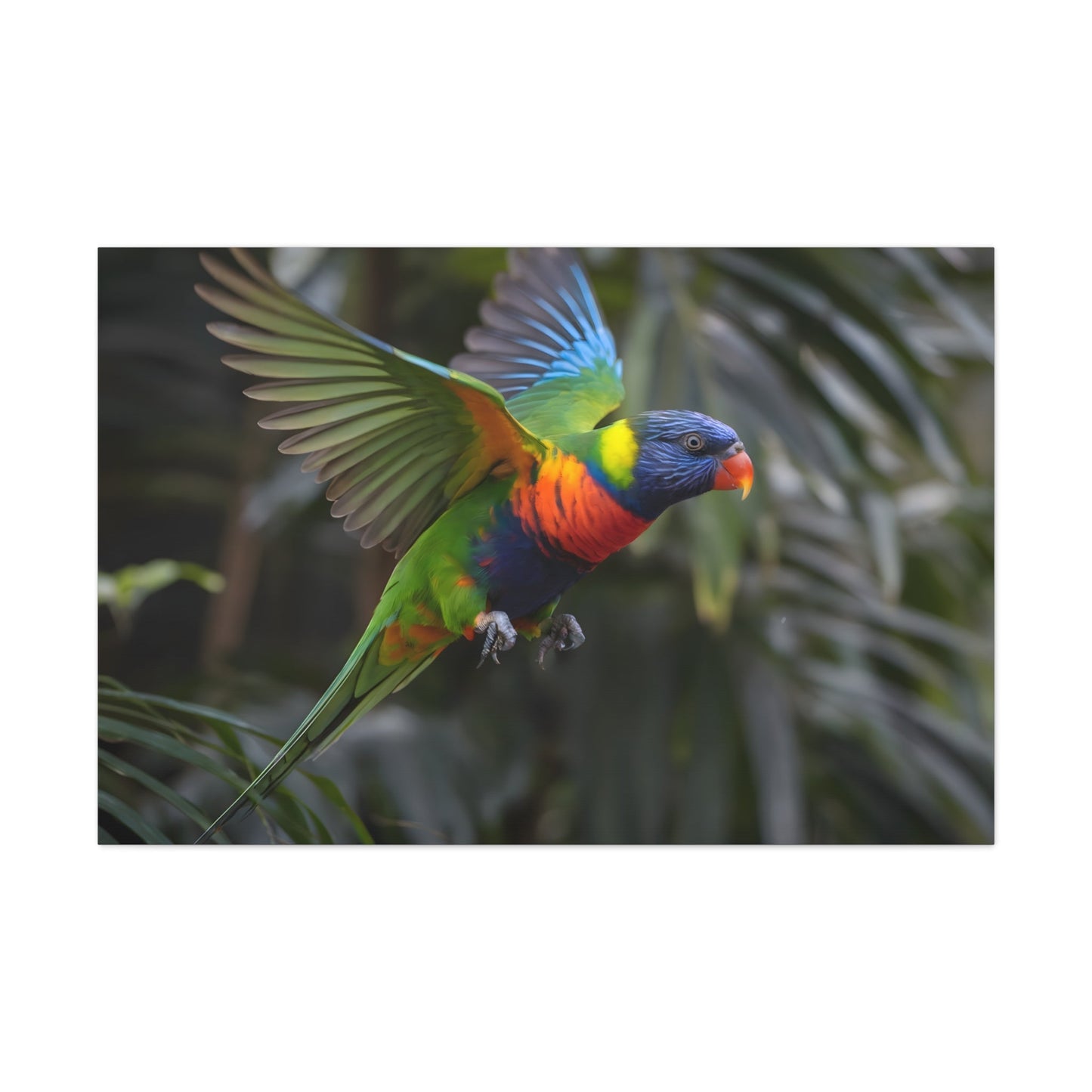 Vibrant Bird ArtRainbow Lorikeet in Flight | Cinematic Wildlife Photography | Vibrant CanvasRainbow Lorikeet in Flight – Cinematic Wildlife Photography
A breathtaking medium shot of a vibrant rainbow lorikeet in mid-flight, showcasing its dazzling plumage o