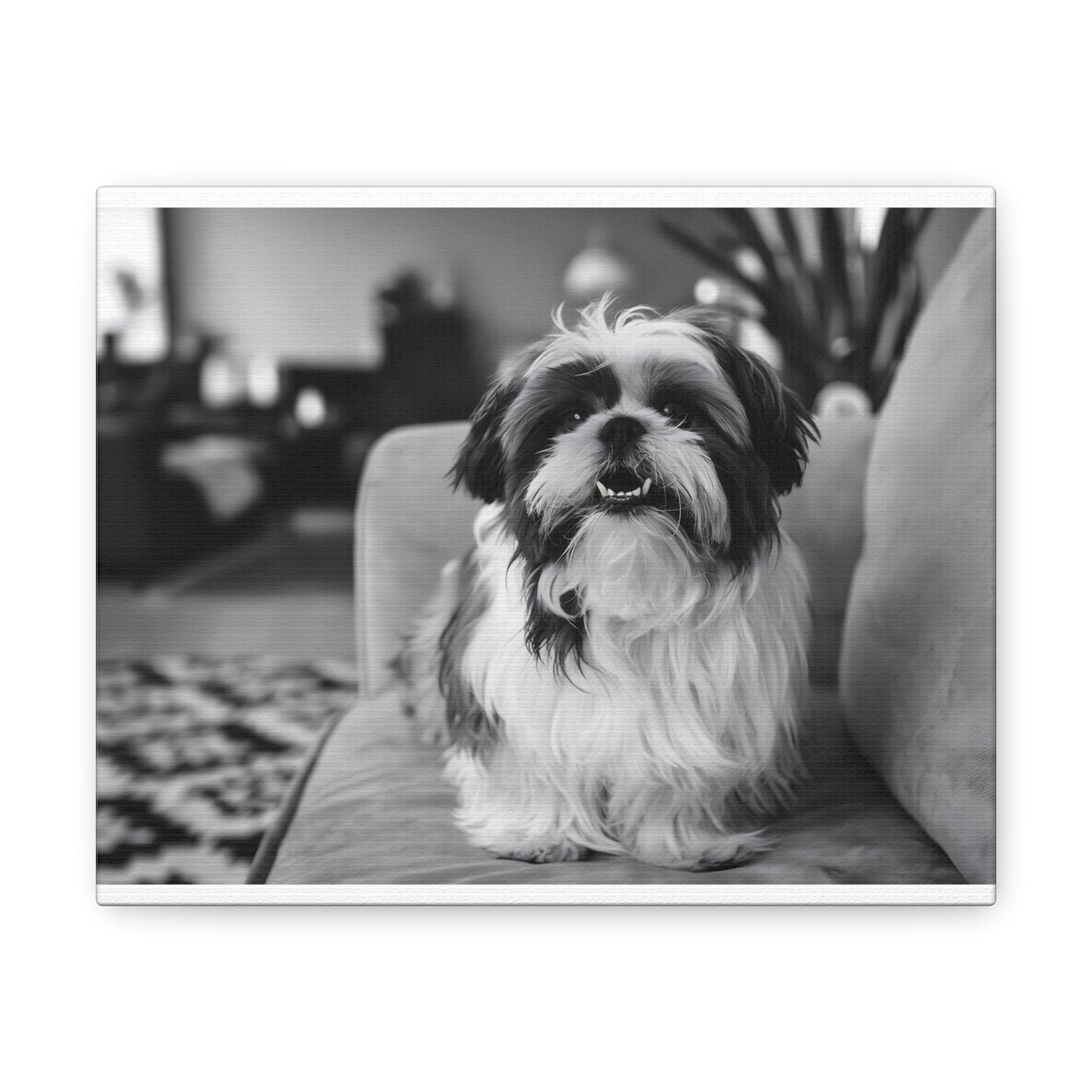 "Curly-Sue" The Shih Tzu"Curly-Sue" The Shih Tzu Art Print | Black & White Color Splash | MonoCanvas"Curly-Sue Shih Tzu Art Print | Black &amp; White Color Splash | Monochromatic Living Room Decor 
Discover a striking black-and-white art print of Curly-Sue, a Shih 