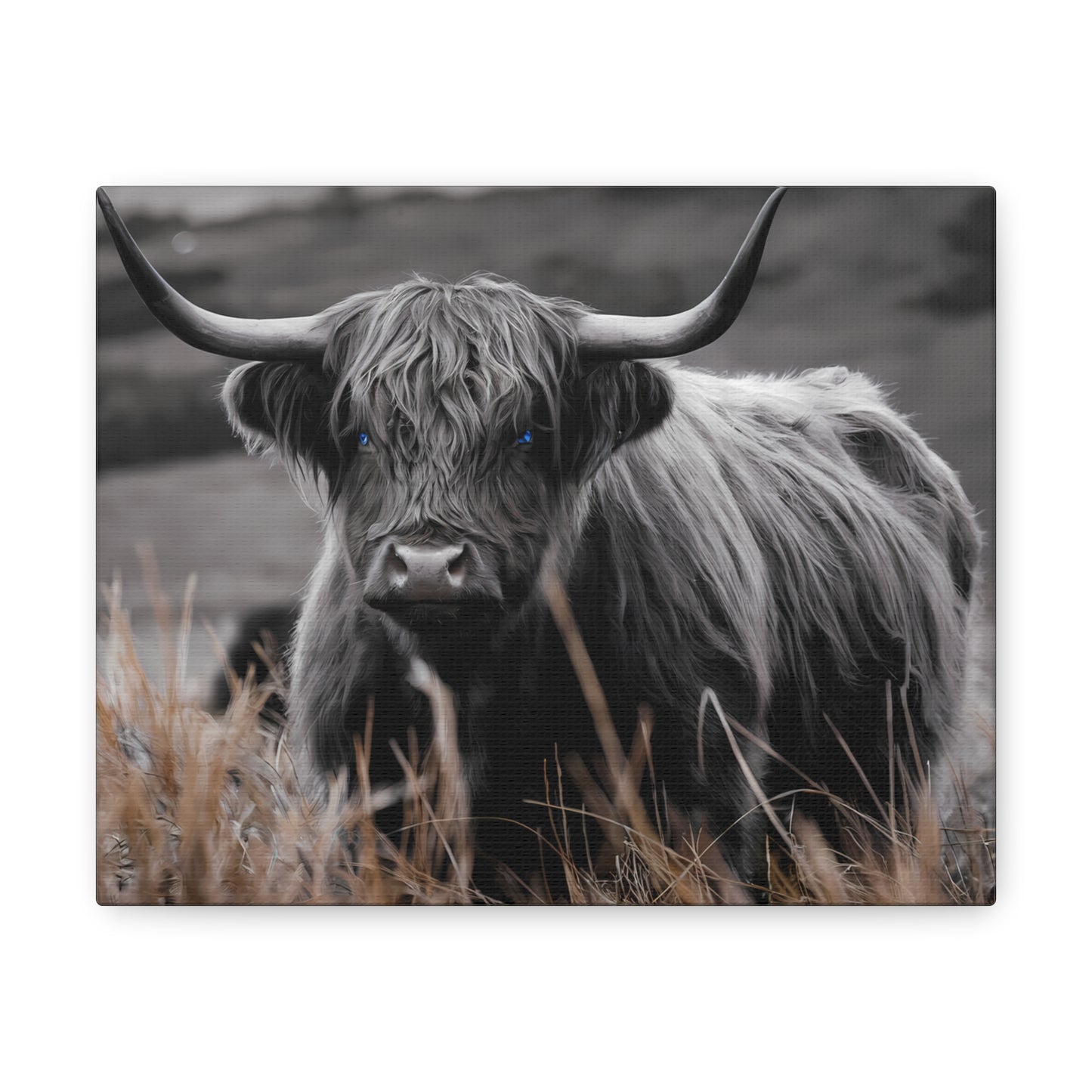 Majestic Highland Cow Canvas Print - 8K Cinematic Wall Art - Monochromatic Wall Art Print