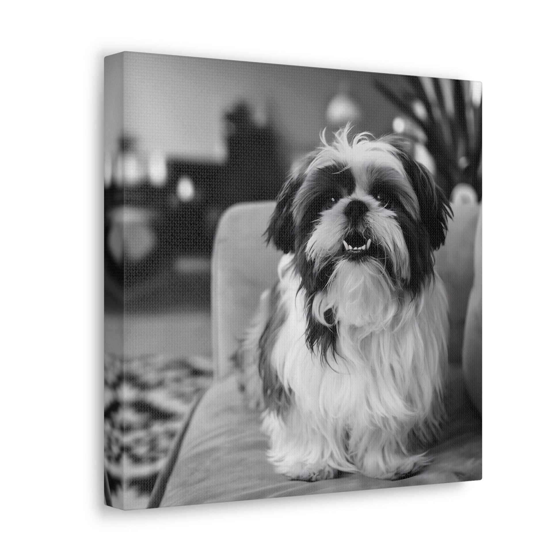 "Curly-Sue" The Shih Tzu"Curly-Sue" The Shih Tzu Art Print | Black & White Color Splash | MonoCanvas"Curly-Sue Shih Tzu Art Print | Black &amp; White Color Splash | Monochromatic Living Room Decor 
Discover a striking black-and-white art print of Curly-Sue, a Shih 