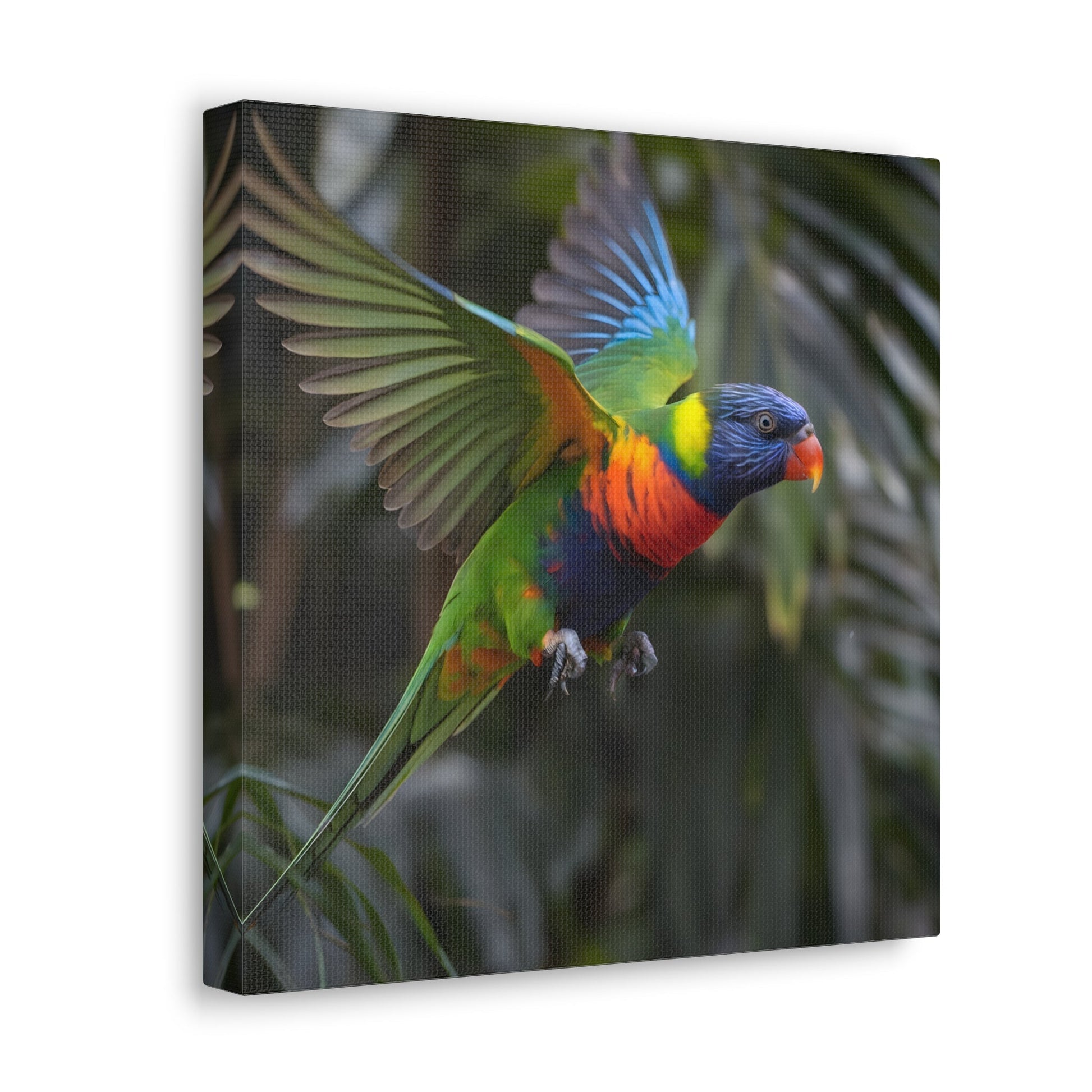 Vibrant Bird ArtRainbow Lorikeet in Flight | Cinematic Wildlife Photography | Vibrant CanvasRainbow Lorikeet in Flight – Cinematic Wildlife Photography
A breathtaking medium shot of a vibrant rainbow lorikeet in mid-flight, showcasing its dazzling plumage o