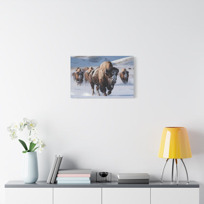 Massive Bison Herd in Snow | Winter Wildlife Photography Wall Art | Snow-Covered Plains Art | " Lead The Pack " - Matte Canvas