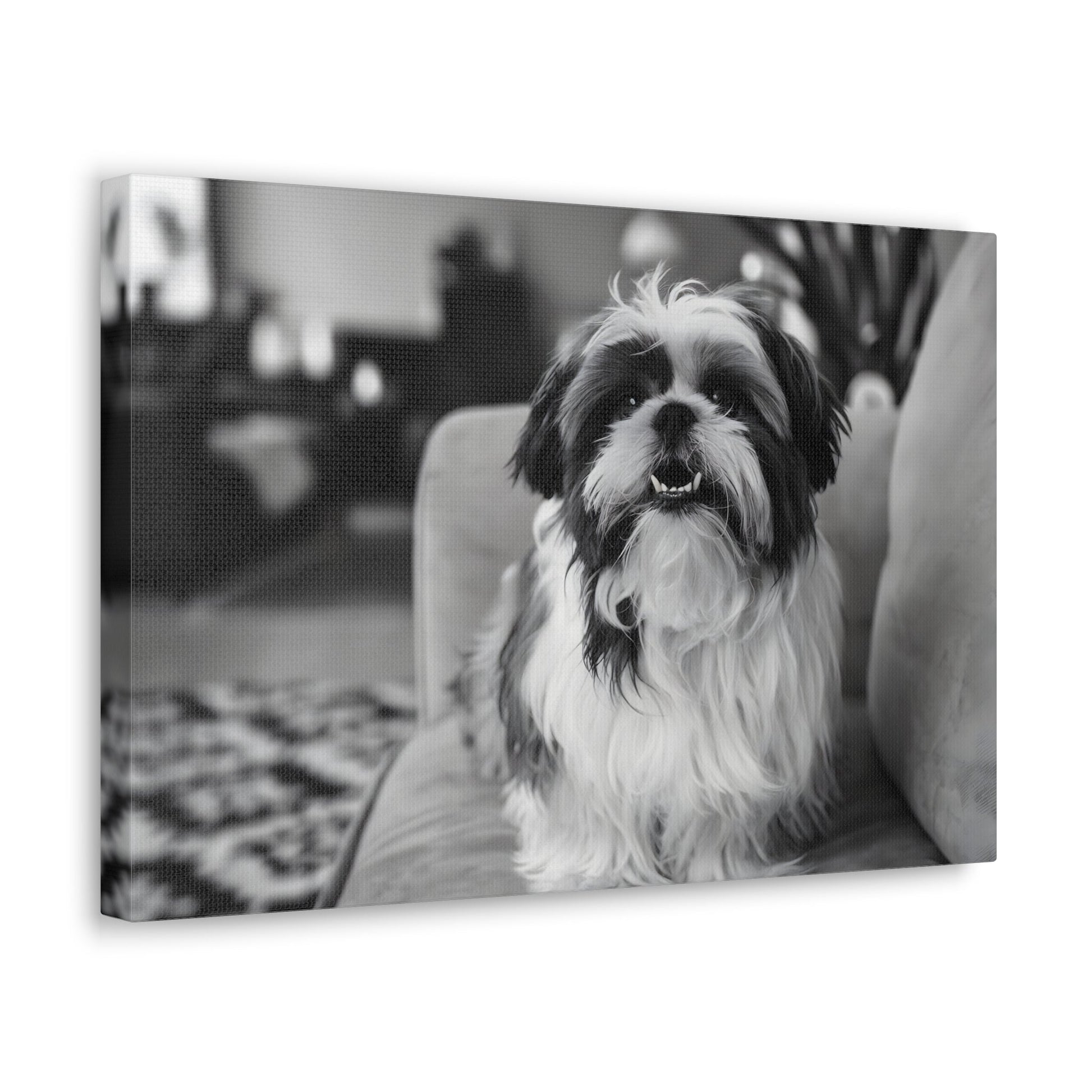 "Curly-Sue" The Shih Tzu"Curly-Sue" The Shih Tzu Art Print | Black & White Color Splash | MonoCanvas"Curly-Sue Shih Tzu Art Print | Black &amp; White Color Splash | Monochromatic Living Room Decor 
Discover a striking black-and-white art print of Curly-Sue, a Shih 