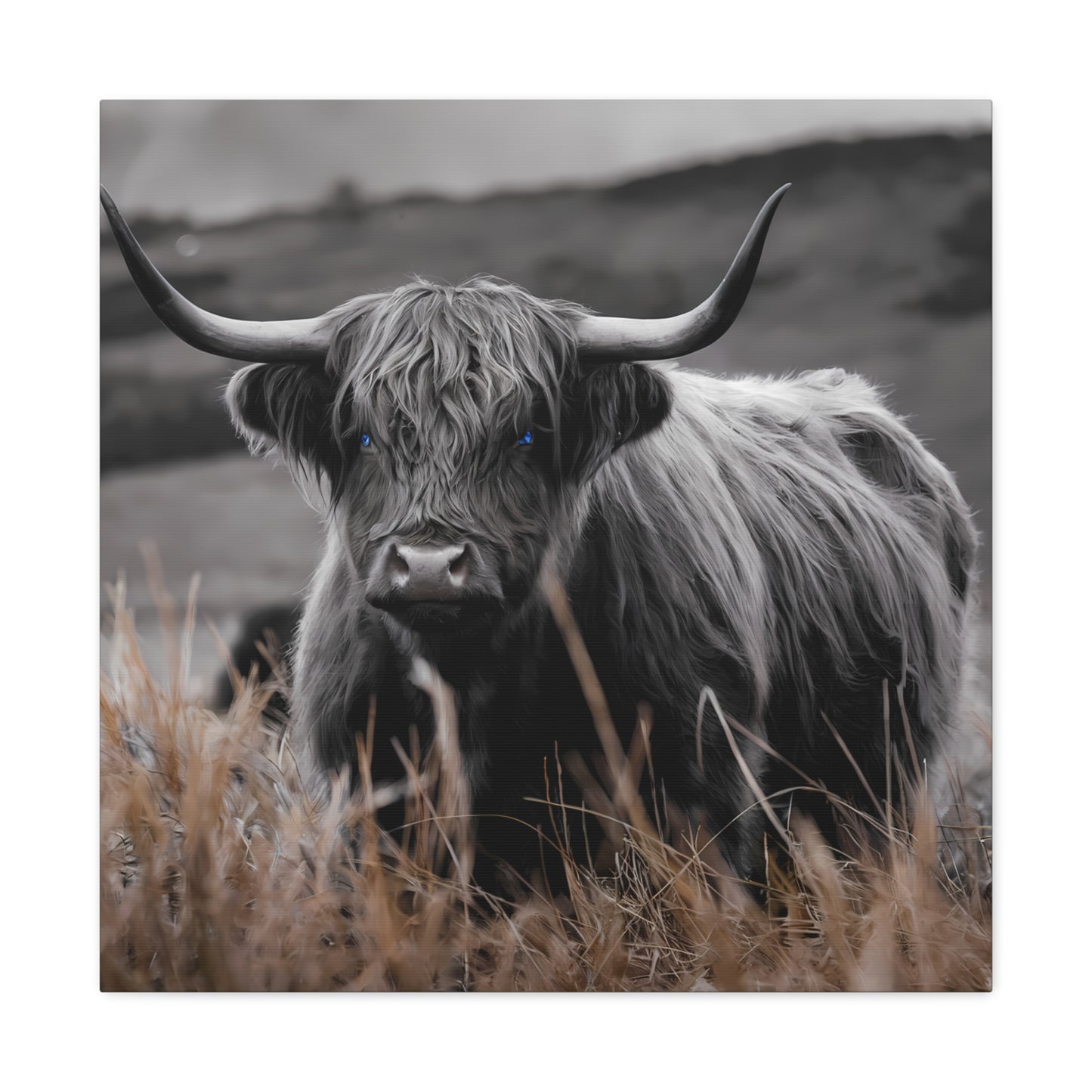 Majestic Highland Cow Canvas Print - 8K Cinematic Wall Art - Monochromatic Wall Art Print