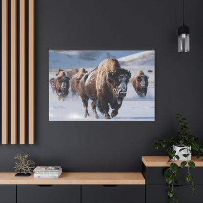 Massive Bison Herd in Snow | Winter Wildlife Photography Wall Art | Snow-Covered Plains Art | " Lead The Pack " - Matte Canvas