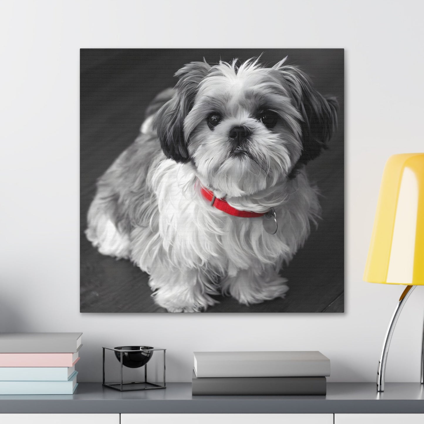 "Curly-Sue" The Shih Tzu Black & White Photo | Monochromatic Dog Art Canvas