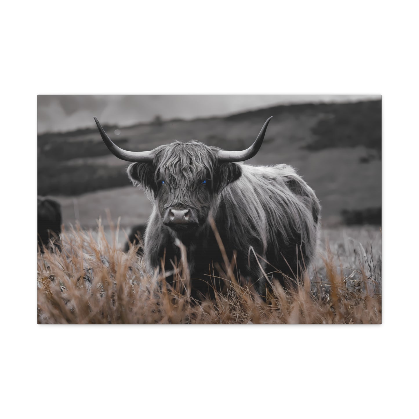 Majestic Highland Cow Canvas Print - 8K Cinematic Wall Art - Monochromatic Wall Art Print