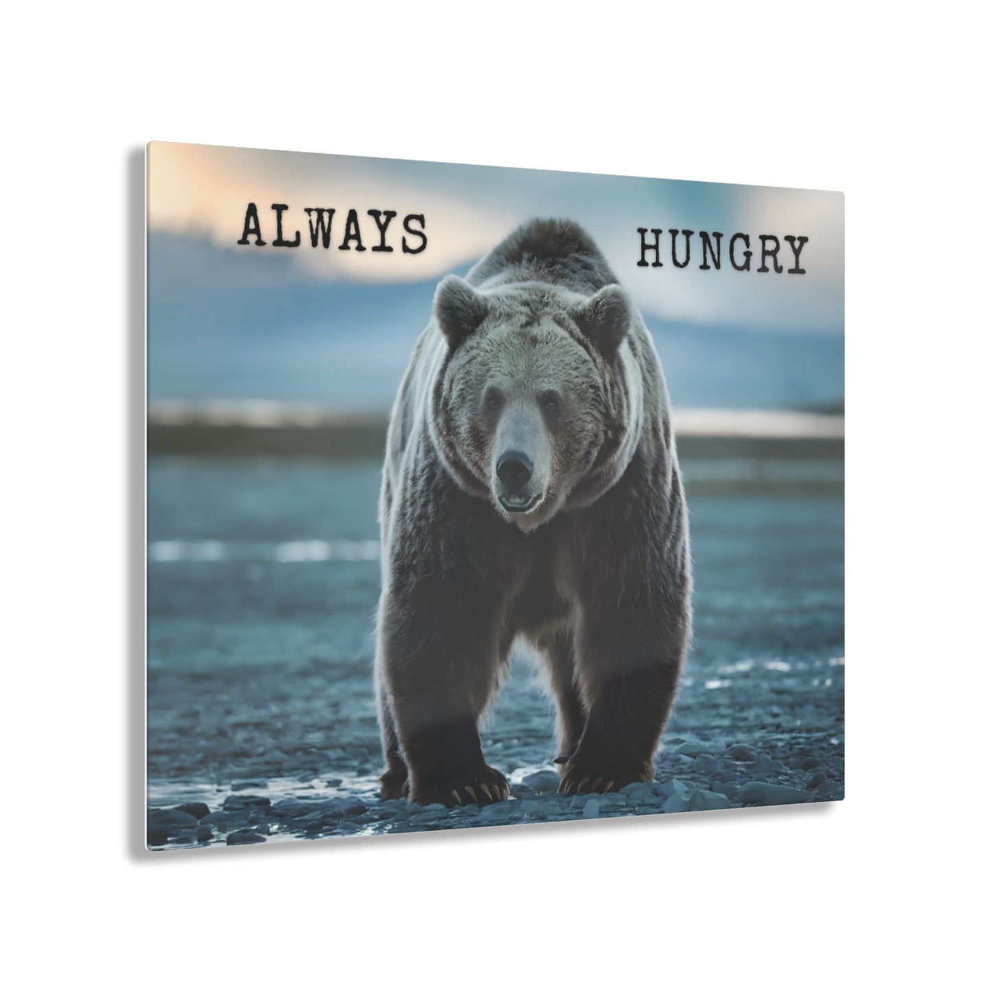 Always Hungry brown bear acrylic wall art featuring wilderness scenery.