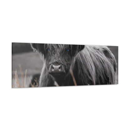 Majestic Highland Cow Canvas Print - 8K Cinematic Wall Art - Monochromatic Wall Art Print