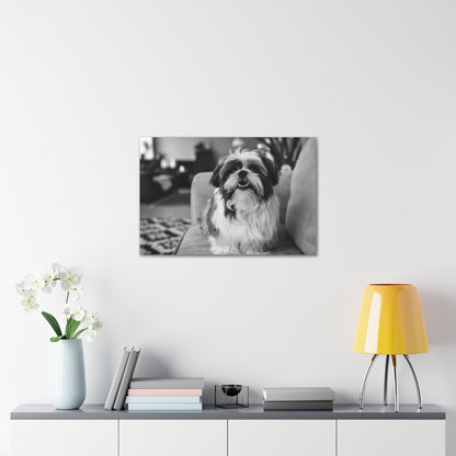 "Curly-Sue" The Shih Tzu"Curly-Sue" The Shih Tzu Art Print | Black & White Color Splash | MonoCanvas"Curly-Sue Shih Tzu Art Print | Black &amp; White Color Splash | Monochromatic Living Room Decor 
Discover a striking black-and-white art print of Curly-Sue, a Shih 