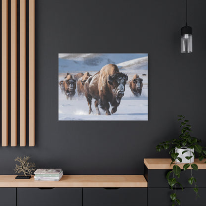 Massive Bison Herd in Snow | Winter Wildlife Photography Wall Art | Snow-Covered Plains Art | " Lead The Pack " - Matte Canvas