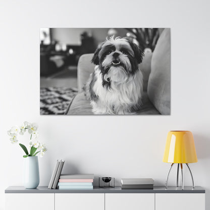 "Curly-Sue" The Shih Tzu"Curly-Sue" The Shih Tzu Art Print | Black & White Color Splash | MonoCanvas"Curly-Sue Shih Tzu Art Print | Black &amp; White Color Splash | Monochromatic Living Room Decor 
Discover a striking black-and-white art print of Curly-Sue, a Shih 