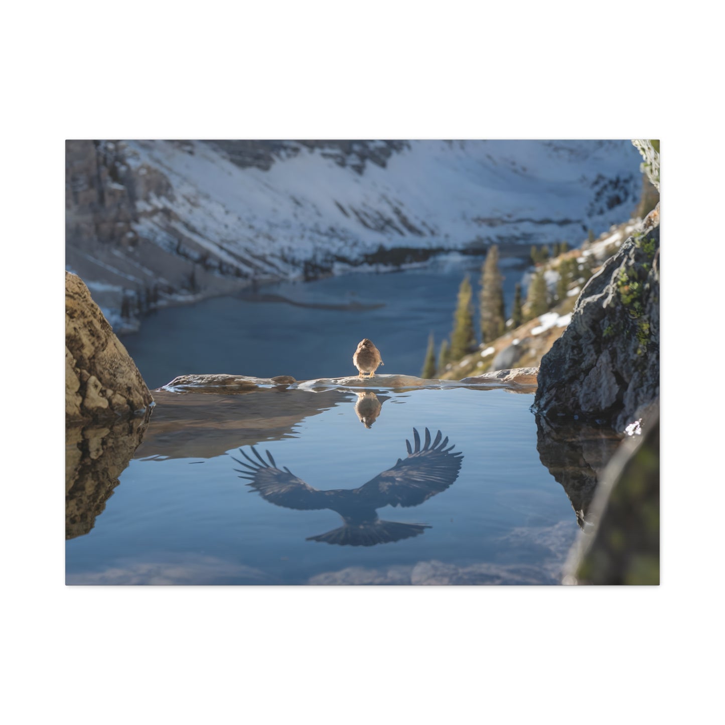 Mountain Lake Wildlife Photography: Alpine Landscape Wall Art - Canvas Gallery Wraps