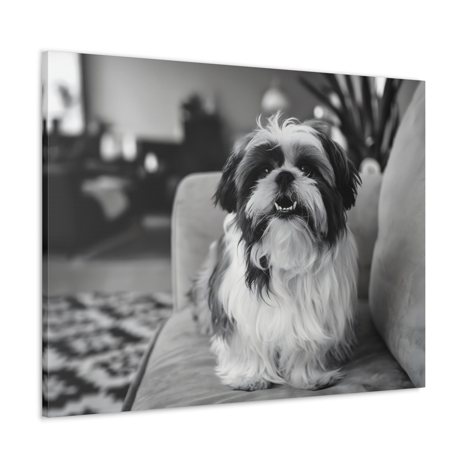 "Curly-Sue" The Shih Tzu"Curly-Sue" The Shih Tzu Art Print | Black & White Color Splash | MonoCanvas"Curly-Sue Shih Tzu Art Print | Black &amp; White Color Splash | Monochromatic Living Room Decor 
Discover a striking black-and-white art print of Curly-Sue, a Shih 