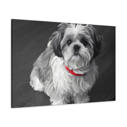 "Curly-Sue" The Shih Tzu Black & White Photo | Monochromatic Dog Art Canvas