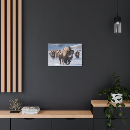 Massive Bison Herd in Snow | Winter Wildlife Photography Wall Art | Snow-Covered Plains Art | " Lead The Pack " - Matte Canvas