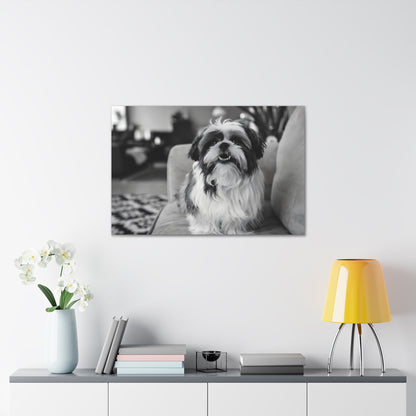 "Curly-Sue" The Shih Tzu"Curly-Sue" The Shih Tzu Art Print | Black & White Color Splash | MonoCanvas"Curly-Sue Shih Tzu Art Print | Black &amp; White Color Splash | Monochromatic Living Room Decor 
Discover a striking black-and-white art print of Curly-Sue, a Shih 