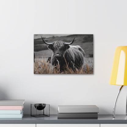 Majestic Highland Cow Canvas Print - 8K Cinematic Wall Art - Monochromatic Wall Art Print