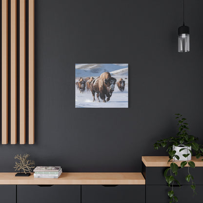 Massive Bison Herd in Snow | Winter Wildlife Photography Wall Art | Snow-Covered Plains Art | " Lead The Pack " - Matte Canvas