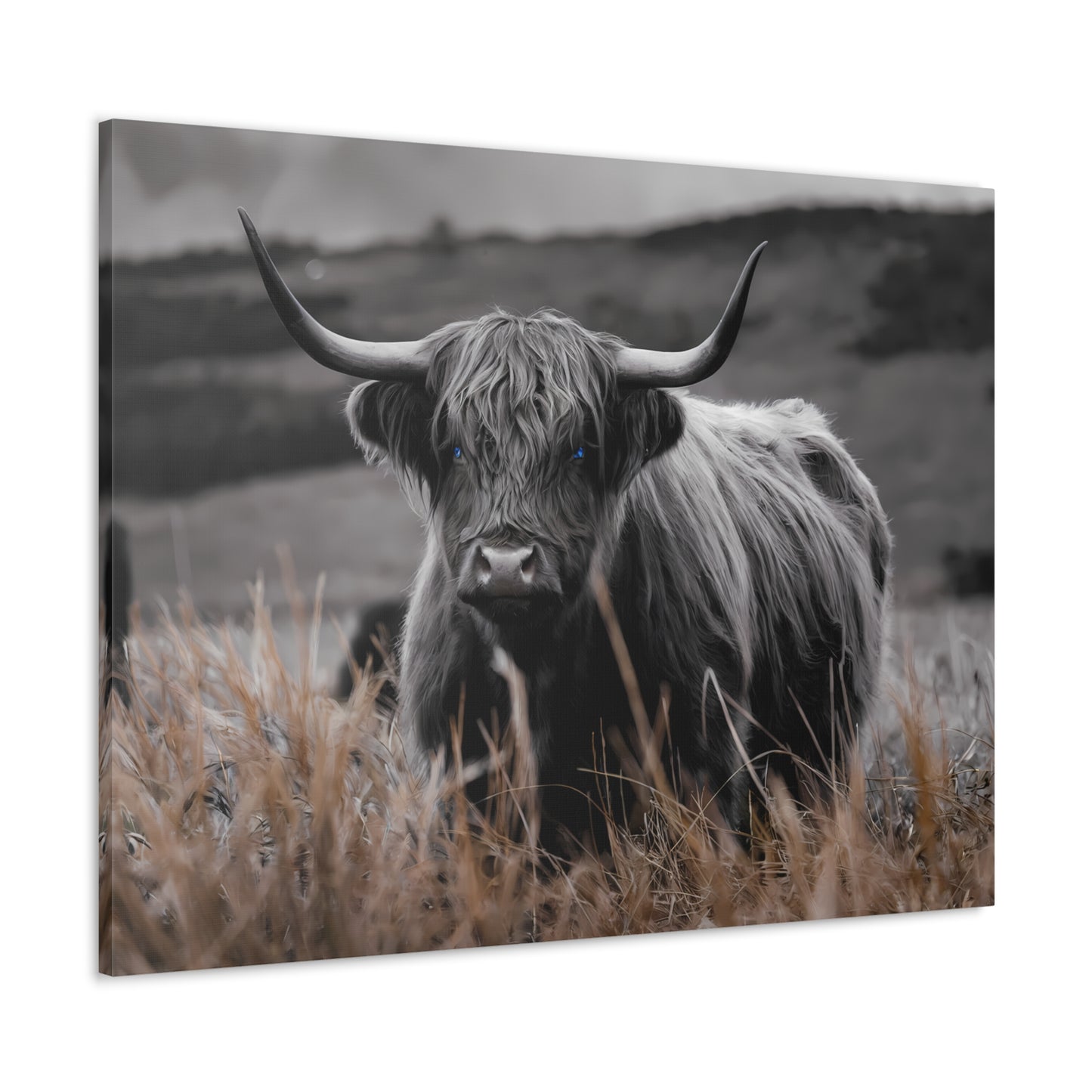 Majestic Highland Cow Canvas Print - 8K Cinematic Wall Art - Monochromatic Wall Art Print