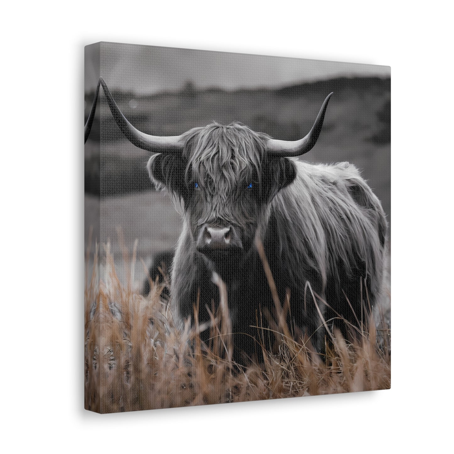 Majestic Highland Cow Canvas Print - 8K Cinematic Wall Art - Monochromatic Wall Art Print