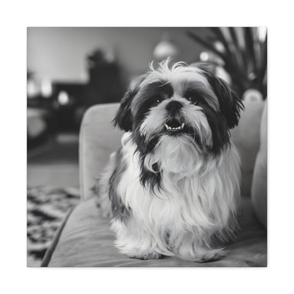 "Curly-Sue" The Shih Tzu"Curly-Sue" The Shih Tzu Art Print | Black & White Color Splash | MonoCanvas"Curly-Sue Shih Tzu Art Print | Black &amp; White Color Splash | Monochromatic Living Room Decor 
Discover a striking black-and-white art print of Curly-Sue, a Shih 