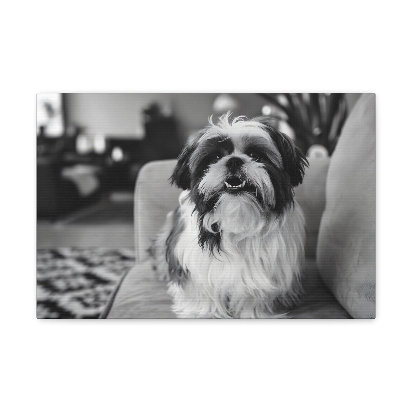 "Curly-Sue" The Shih Tzu"Curly-Sue" The Shih Tzu Art Print | Black & White Color Splash | MonoCanvas"Curly-Sue Shih Tzu Art Print | Black &amp; White Color Splash | Monochromatic Living Room Decor 
Discover a striking black-and-white art print of Curly-Sue, a Shih 