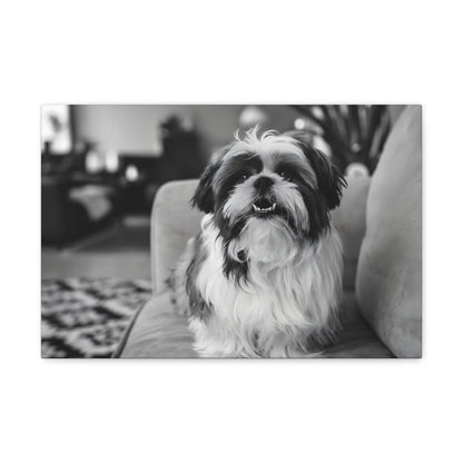 "Curly-Sue" The Shih Tzu"Curly-Sue" The Shih Tzu Art Print | Black & White Color Splash | MonoCanvas"Curly-Sue Shih Tzu Art Print | Black &amp; White Color Splash | Monochromatic Living Room Decor 
Discover a striking black-and-white art print of Curly-Sue, a Shih 