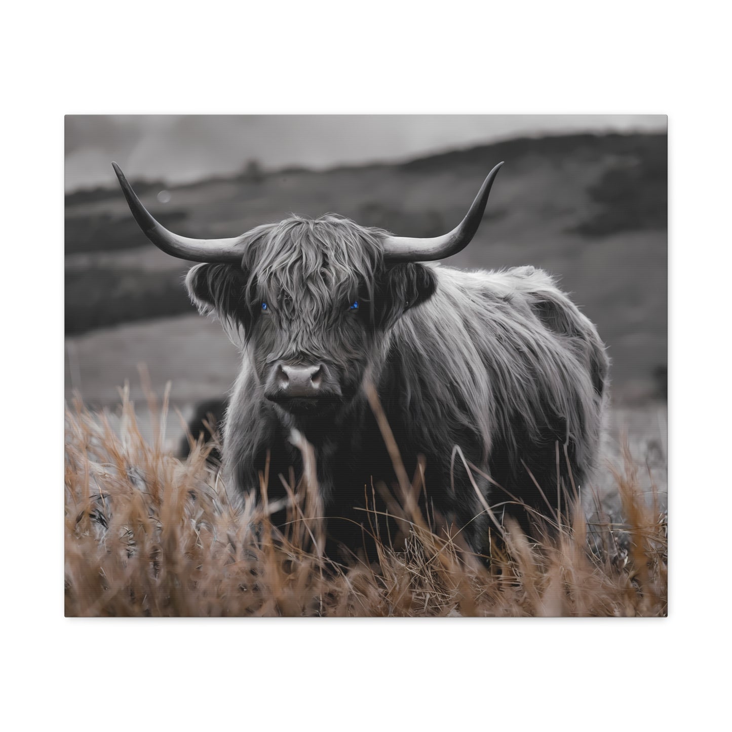 Majestic Highland Cow Canvas Print - 8K Cinematic Wall Art - Monochromatic Wall Art Print