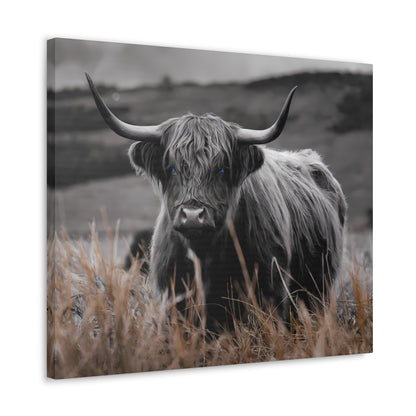 Majestic Highland Cow Canvas Print - 8K Cinematic Wall Art - Monochromatic Wall Art Print