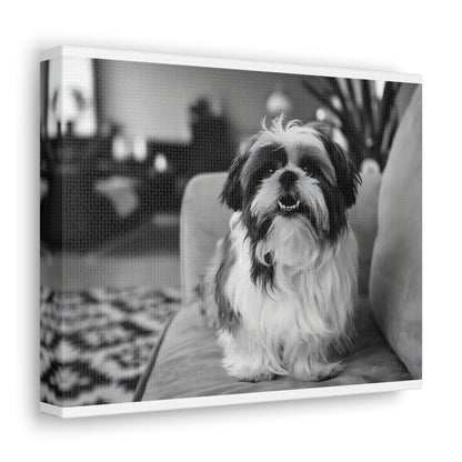 "Curly-Sue" The Shih Tzu"Curly-Sue" The Shih Tzu Art Print | Black & White Color Splash | MonoCanvas"Curly-Sue Shih Tzu Art Print | Black &amp; White Color Splash | Monochromatic Living Room Decor 
Discover a striking black-and-white art print of Curly-Sue, a Shih 