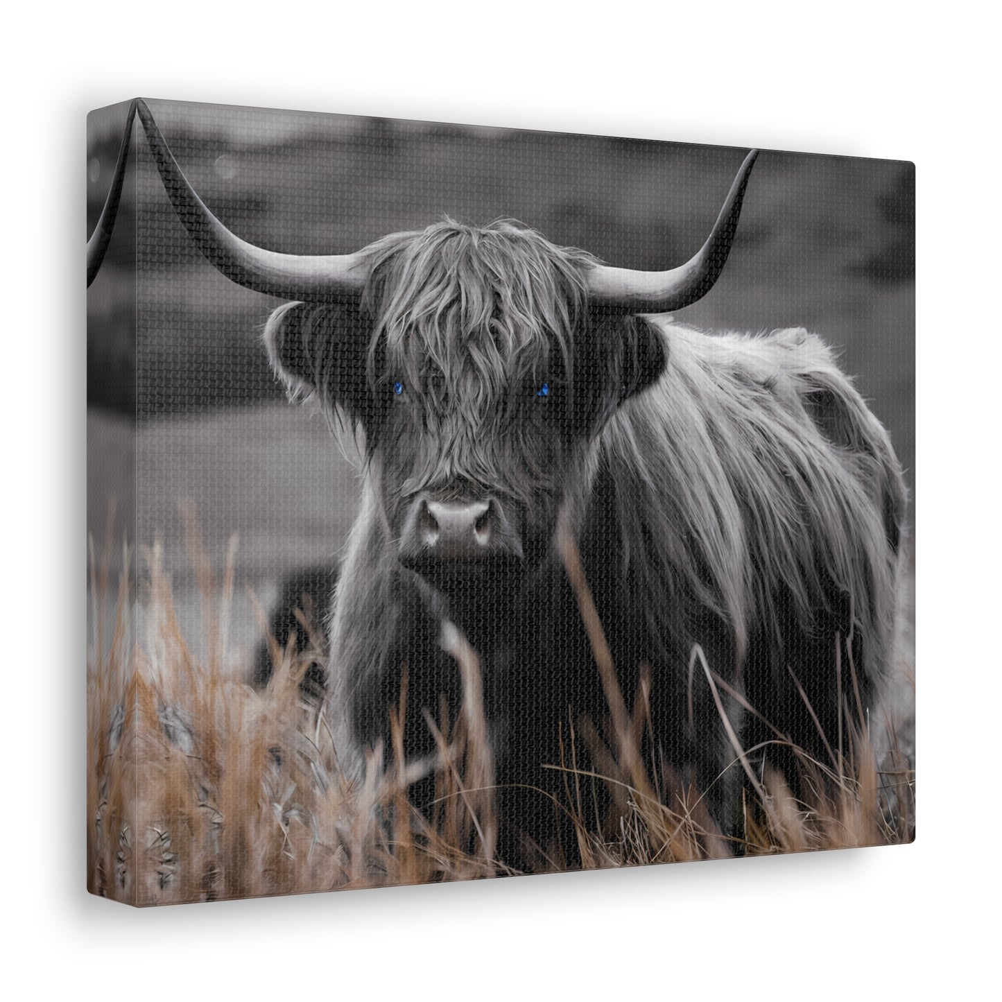 Majestic Highland Cow Canvas Print - 8K Cinematic Wall Art - Monochromatic Wall Art Print