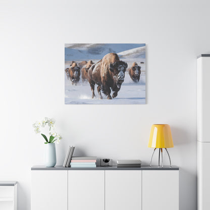 Massive Bison Herd in Snow | Winter Wildlife Photography Wall Art | Snow-Covered Plains Art | " Lead The Pack " - Matte Canvas