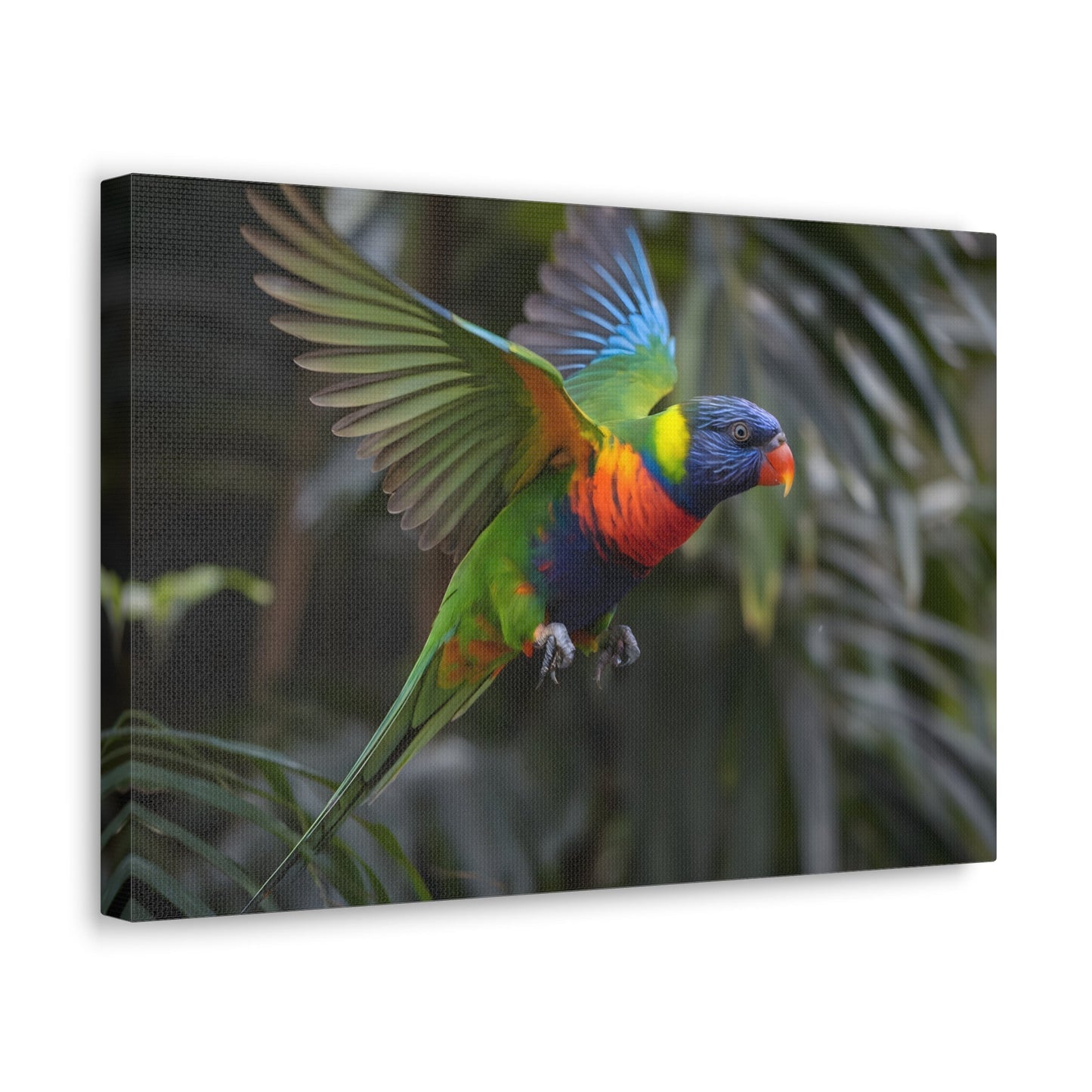 Vibrant Bird ArtRainbow Lorikeet in Flight | Cinematic Wildlife Photography | Vibrant CanvasRainbow Lorikeet in Flight – Cinematic Wildlife Photography
A breathtaking medium shot of a vibrant rainbow lorikeet in mid-flight, showcasing its dazzling plumage o