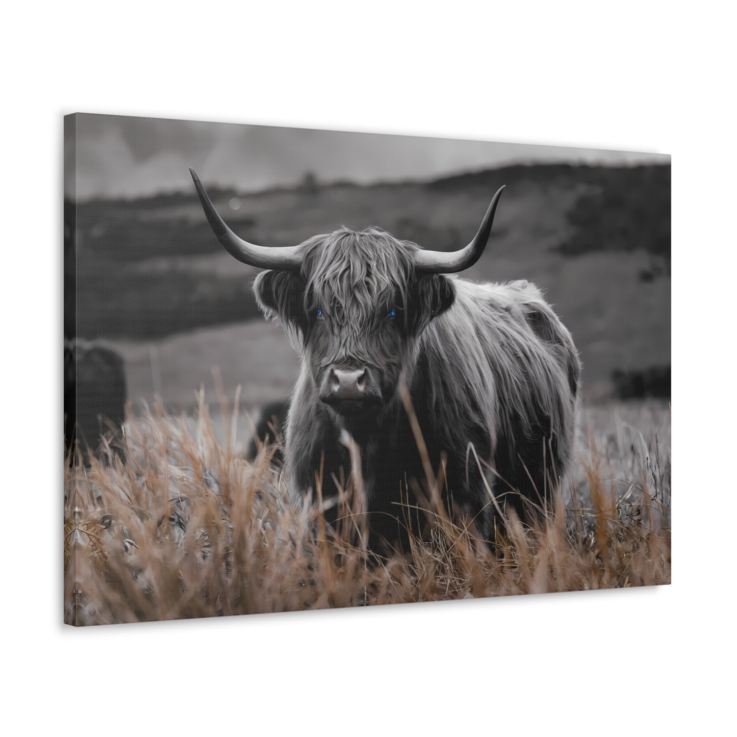 Majestic Highland Cow Canvas Print - 8K Cinematic Wall Art - Monochromatic Wall Art Print