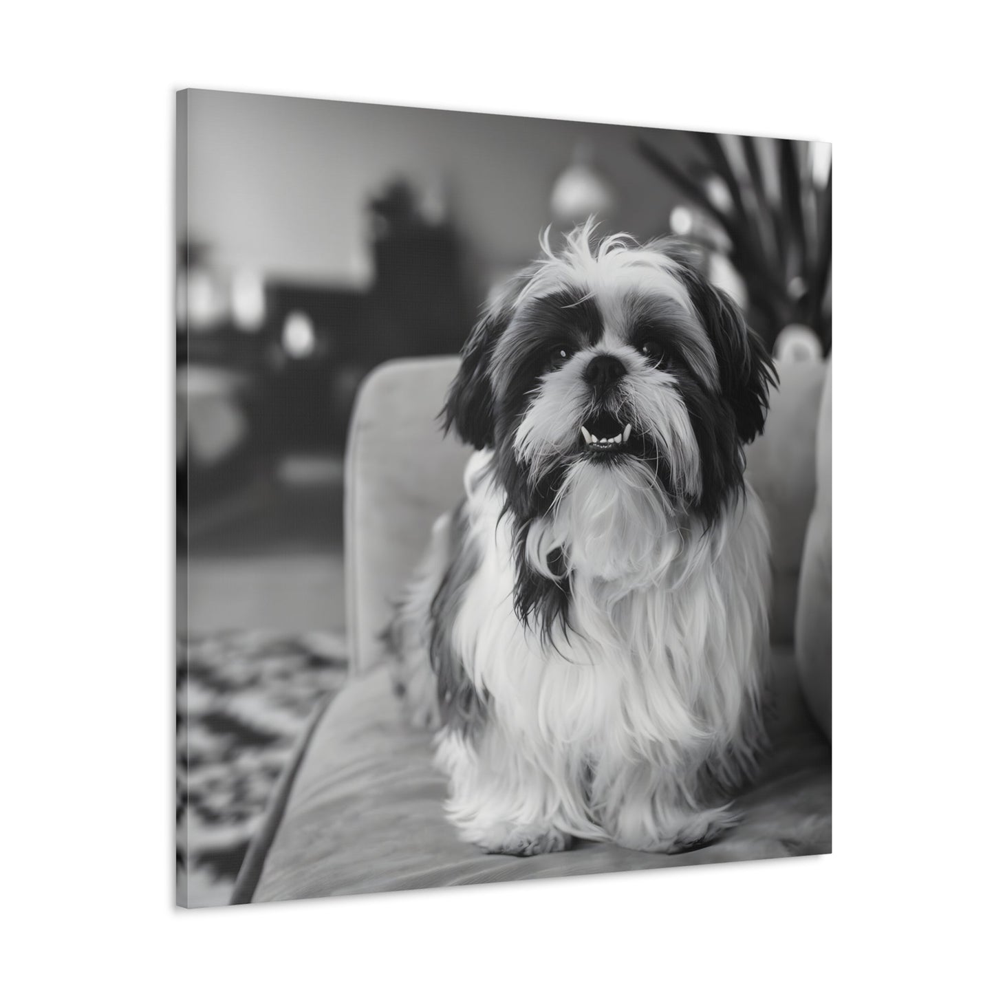 "Curly-Sue" The Shih Tzu"Curly-Sue" The Shih Tzu Art Print | Black & White Color Splash | MonoCanvas"Curly-Sue Shih Tzu Art Print | Black &amp; White Color Splash | Monochromatic Living Room Decor 
Discover a striking black-and-white art print of Curly-Sue, a Shih 