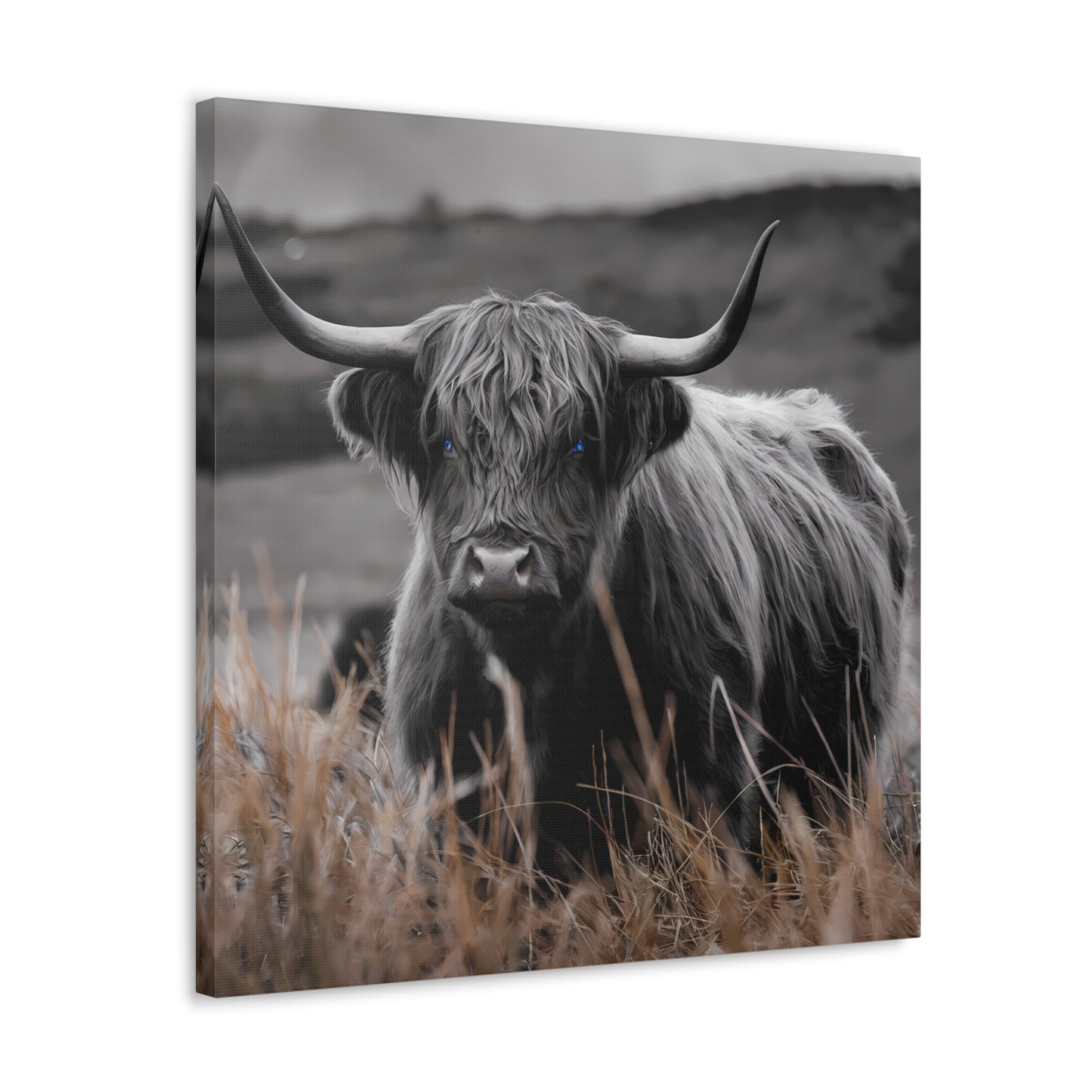 Majestic Highland Cow Canvas Print - 8K Cinematic Wall Art - Monochromatic Wall Art Print