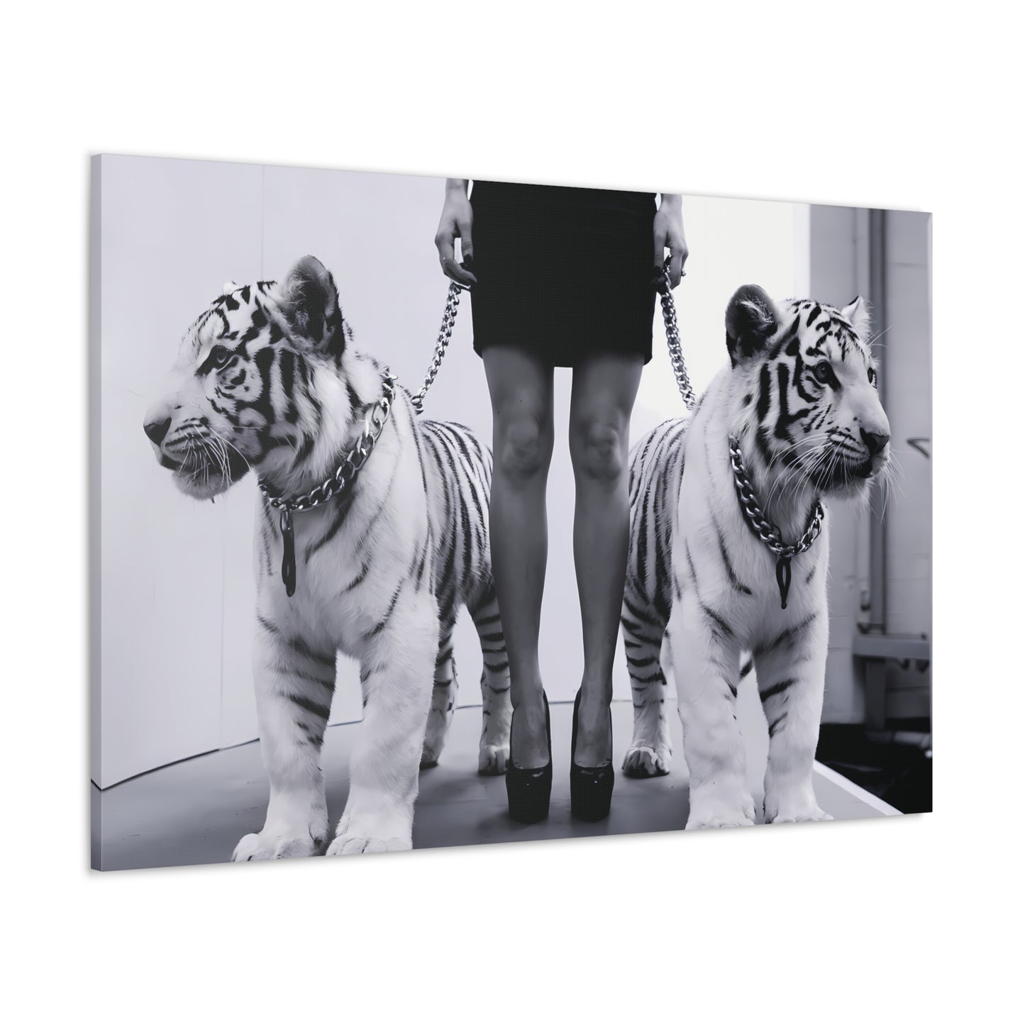 "Tiger Queen" Black & White Photo of Woman with White Tiger Cubs | Studio Art Photography | Modern Wall Art |Canvas Gallery Wraps