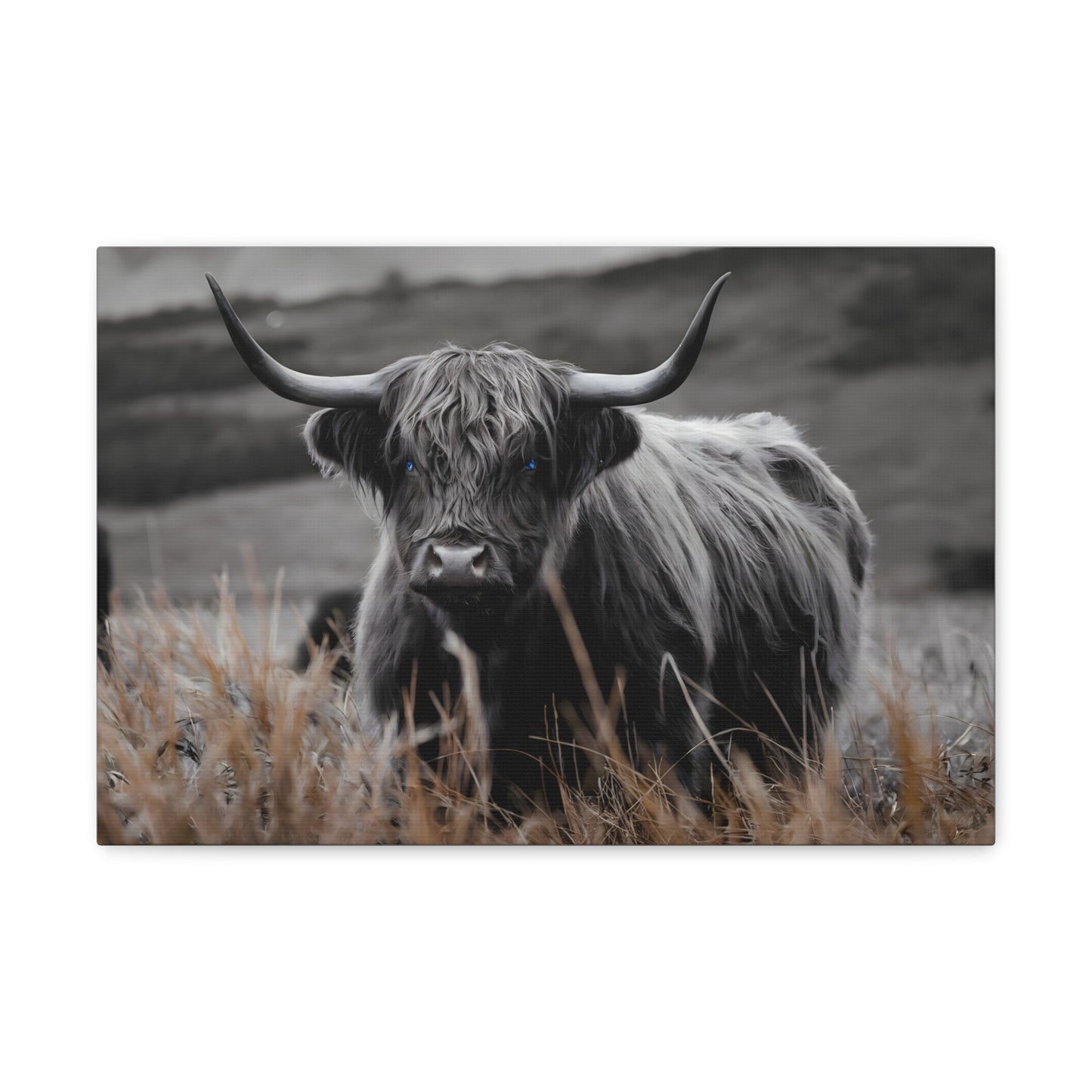 Majestic Highland Cow Canvas Print - 8K Cinematic Wall Art - Monochromatic Wall Art Print