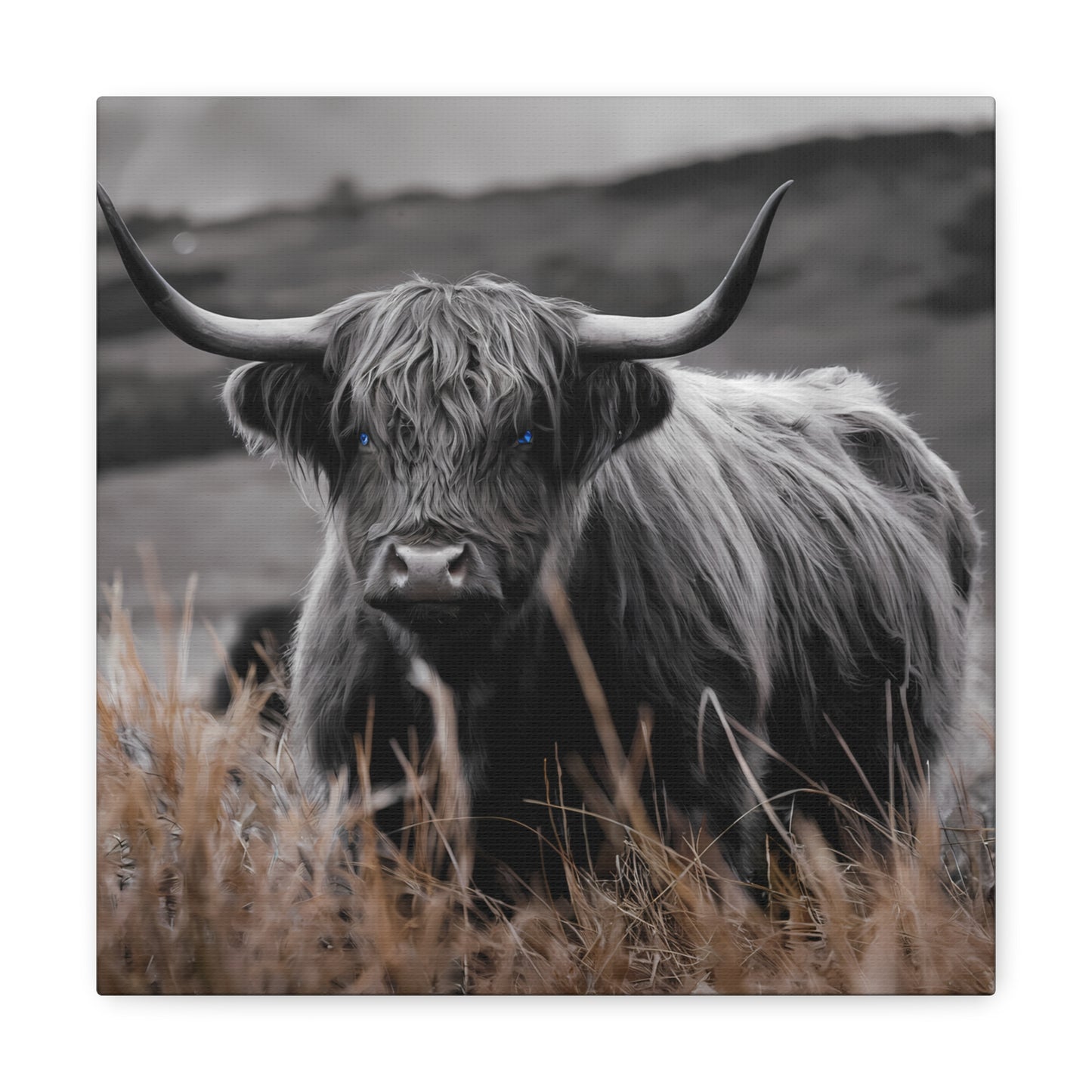 Majestic Highland Cow Canvas Print - 8K Cinematic Wall Art - Monochromatic Wall Art Print